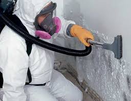 Why You Should Choose Our Mold Remediation Services in Marengo, IA